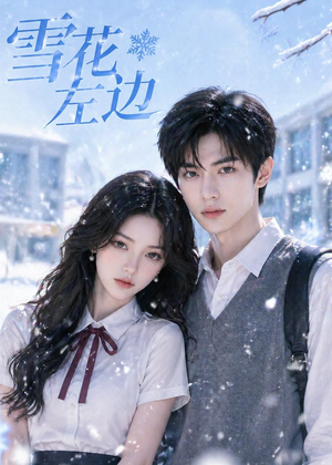 雪花左边(30集) 雪花左边(30集)独家短剧免费看