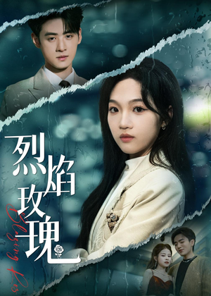 烈焰玫瑰（37集）看过的人都说好