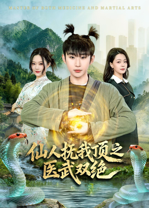 仙人抚我顶之医武双绝（66集）免费短剧合集