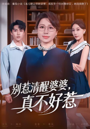 别惹清醒婆婆，真不好惹（80集）分享好看短剧