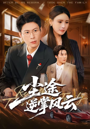 尘途逆掌风云（52集）热门了短剧