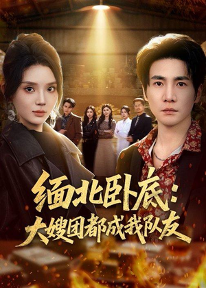 缅北卧底：大嫂团都成我队友（71集）全部免费看全集
