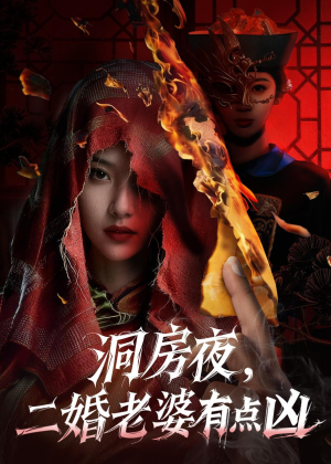洞房夜，二婚老婆有点凶（66集）高清无码免费看