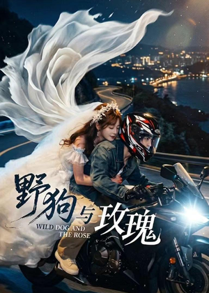 野狗与玫瑰(30集) 野狗与玫瑰(30集)免费观看就是爽
