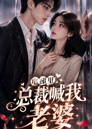 电梯里，总裁喊我老婆（76集）番茄短剧免费看