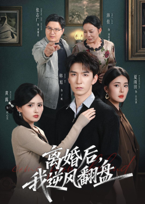 离婚后，我逆风翻盘（83集）精彩好看的短剧