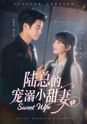 陆总的宠溺小甜妻(61集) 陆总的宠溺小甜妻(61集)火爆热门短剧