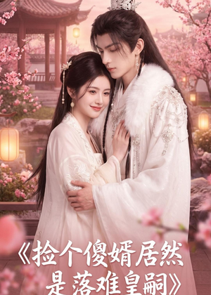 捡个傻婿居然是落难皇嗣（35集）看过的人都说好
