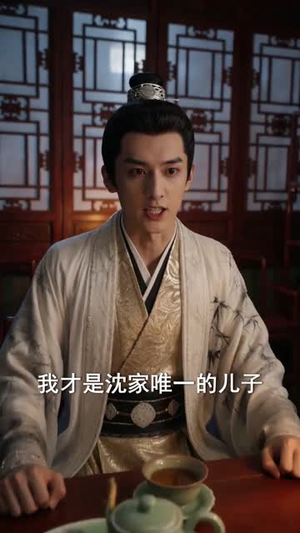 姐妹回归，沈府变天了（58集）免费短剧资源
