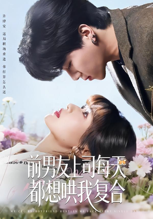 前男友上司每天都想哄我复合（77集）古装热门短剧