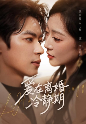 爱在离婚冷静期（73集）免费观看完整版