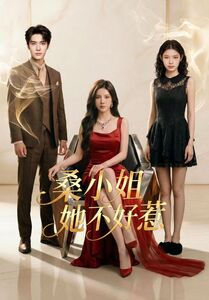 桑小姐她不好惹（103集）热门短剧来袭