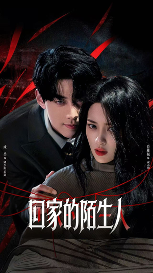 回家的陌生人（61集）高清画质免费看