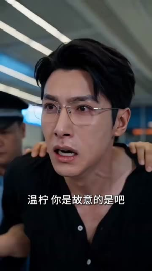 下一站，不必等我（35集）迅雷网盘观看