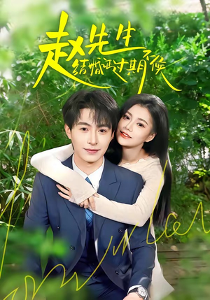 赵先生结婚证过期不候（50集）第32集