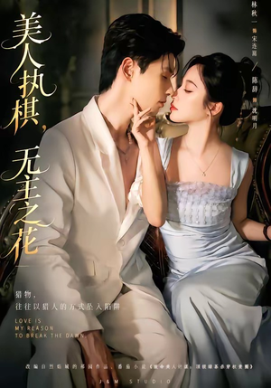 美人执棋，无主之花（65集）短剧后续更精彩