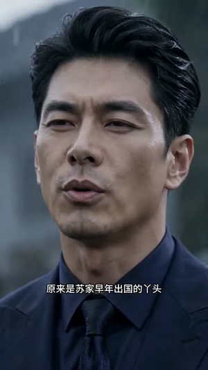 瓷骨匠心（33集）热门短剧推广