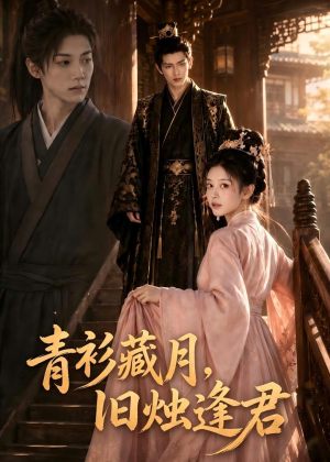 青衫藏月，旧烛逢君（56集）全部免费看全集