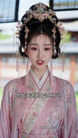 揽月辞（43集）80到100集