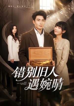错别旧人遇婉晴（79集）在线免费观看