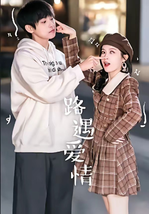 路遇爱情（12集）百度网盘在线看