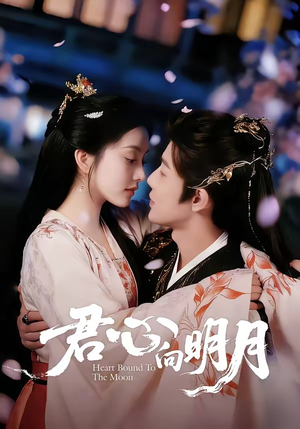 君心向明月（60集）火爆短剧抢先看