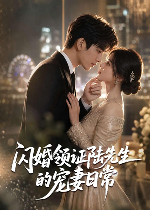 闪婚领证陆先生的宠妻日常（72集）集免费看短剧
