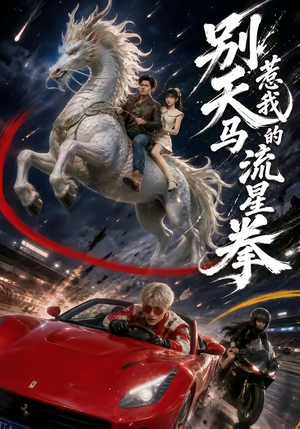 别惹我的天马流星拳（40集）经典回顾免费看