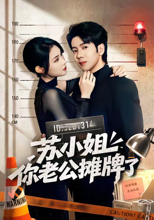 苏小姐你老公摊牌了（60集）演的怎么样