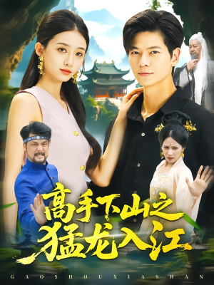 高手下山之猛龙入江（80集）评价怎么样