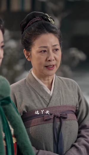 金网锁春风：入府篇（上）（56集）在线免费观影