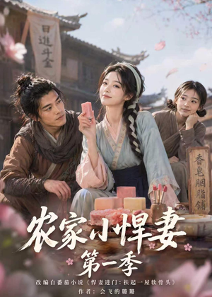 农家小悍妻第一季（70集）流畅播放免费看
