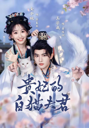 贵妃的白猫夫君（81集）短剧全集完整版