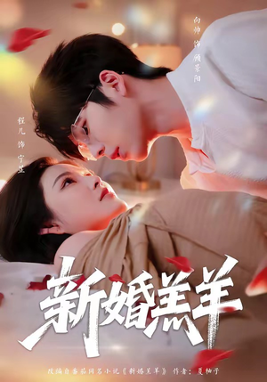 新婚羔羊（89集）短剧视频分享