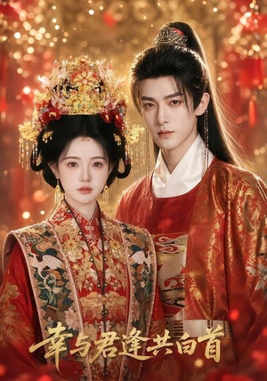 幸与君逢共白首(79集) 幸与君逢共白首(79集)火爆热门短剧