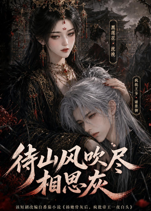 待山风吹尽相思灰（112集）免费版