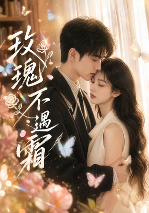 玫瑰不遇霜（42集）经典老剧免费看
