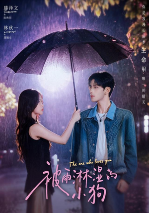 被雨淋湿的小狗（80集）看过的人都说好