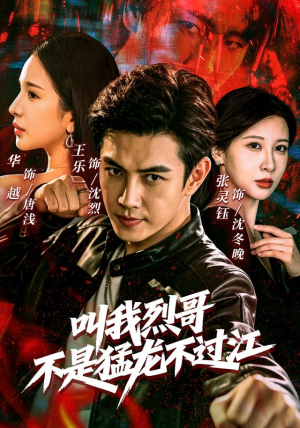 叫我烈哥，不是猛龙不过江（111集）高分推荐免费看