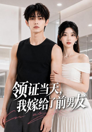 领证当天，我嫁给了前男友（44集）短剧演员排行榜