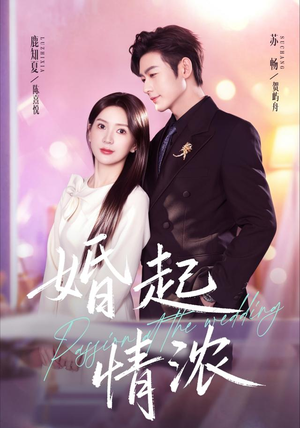 婚起情浓（99集）完整版免费观看