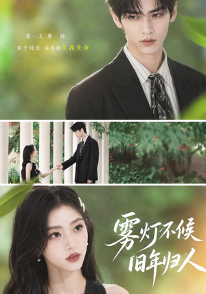 雾灯不候旧年归人(50集) 雾灯不候旧年归人(50集)免费全集短剧