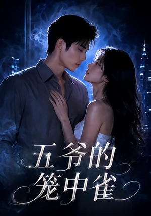 五爷的笼中雀（72集）精彩短剧热播