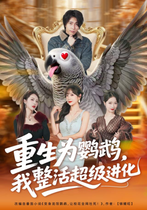 重生为鹦鹉，我整活超级进化（70集）火热短剧抢先看