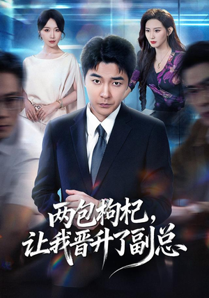两包枸杞，让我晋升了副总（65集）哪个短剧网能看