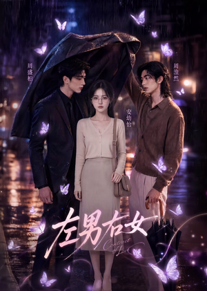 左男右女(63集) 左男右女(63集)1-102集