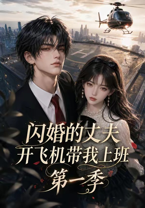 闪婚的丈夫开飞机带我上班第一季（91集）最近很火的短剧