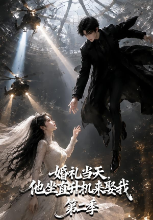 婚礼当天，他坐直升机来娶我第二季（132集）高清无码免费看