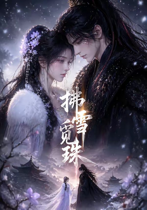 拂雪觅珠（54集）全集一网打尽