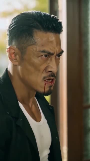 拳皇第一季：大嫂其实是反派（47集）一起看短剧